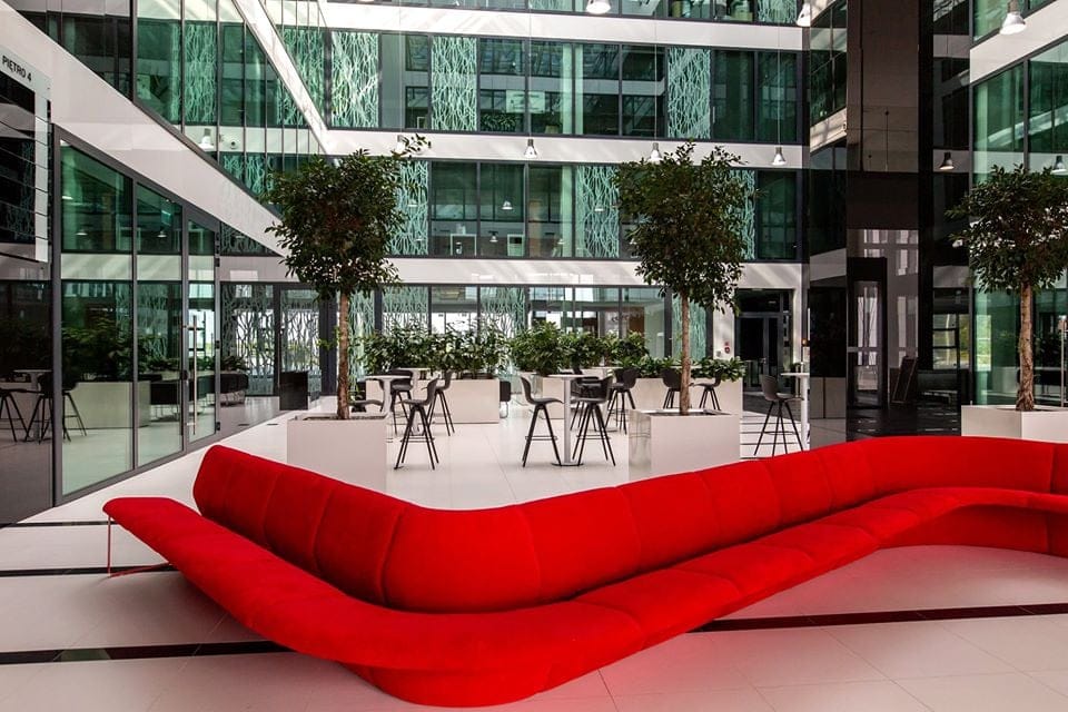 Ogród w chmurach – wyzwania przy aranżacji zieleni na dachu i stropie