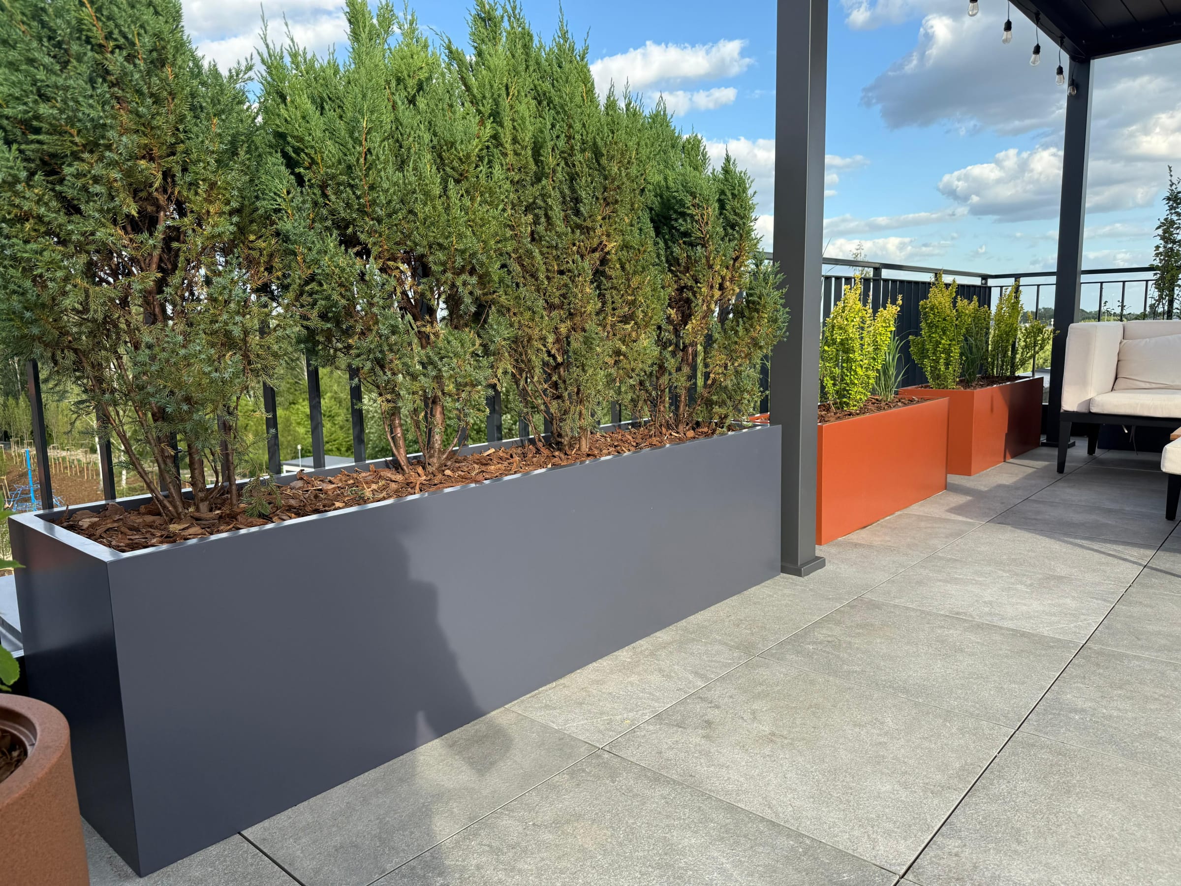 Ogród w chmurach – wyzwania przy aranżacji zieleni na dachu i stropie