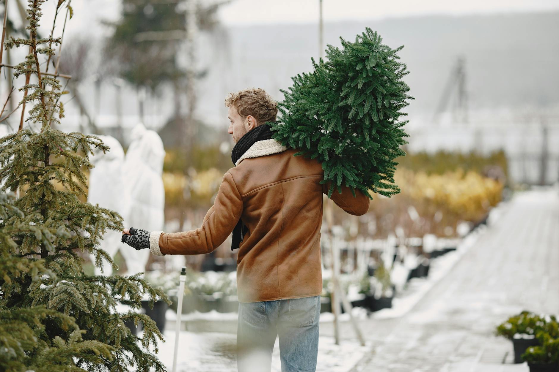 Mężczyzna niesie choinkę przez ośnieżony ogród zimowy