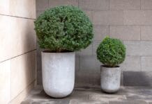 Betonowe osłonki na doniczki Polnix – surowy industrialny styl w Twoim wnętrzu